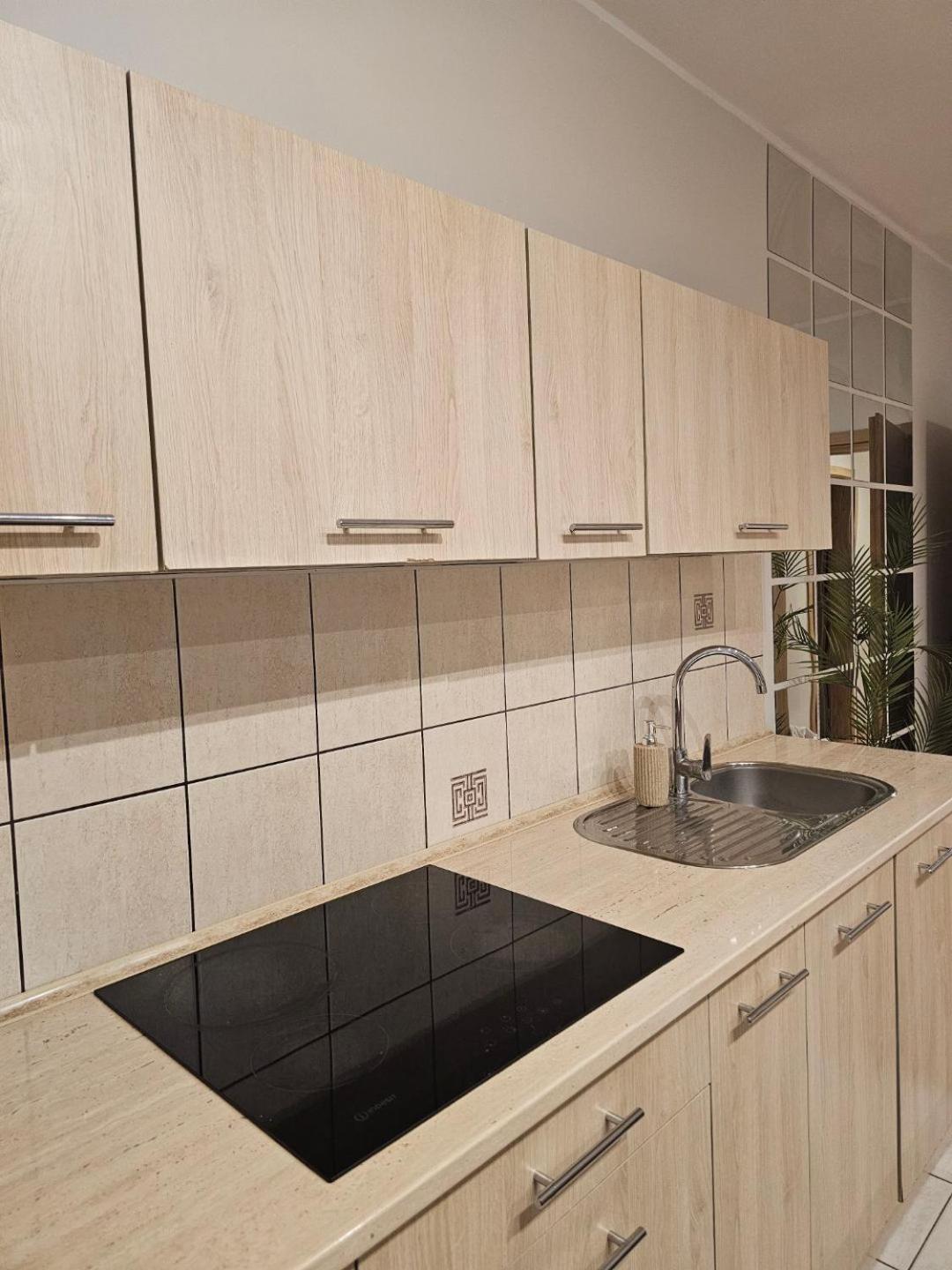 Apartament Rema W Centrum Apartzakop Zakopane Zewnętrze zdjęcie